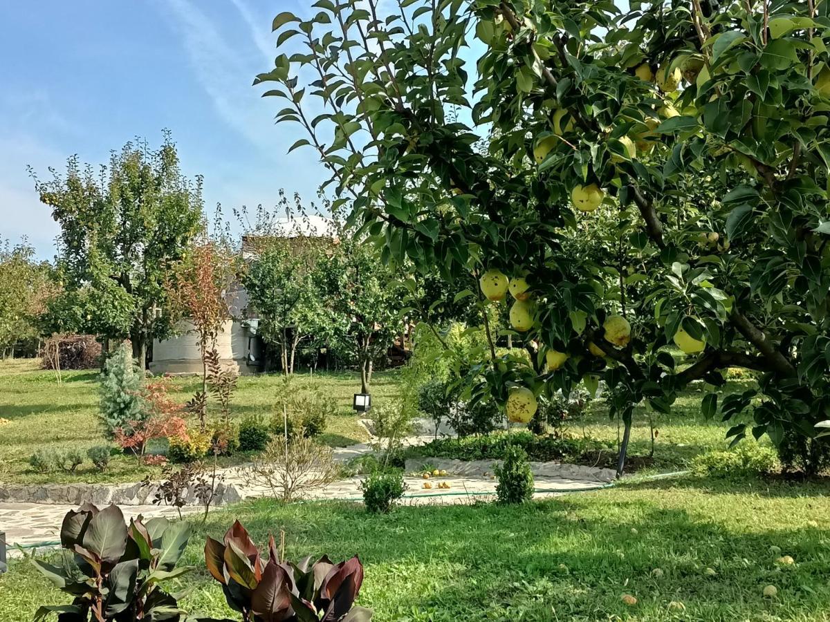 Sapanca Green Dome Otel Dış mekan fotoğraf