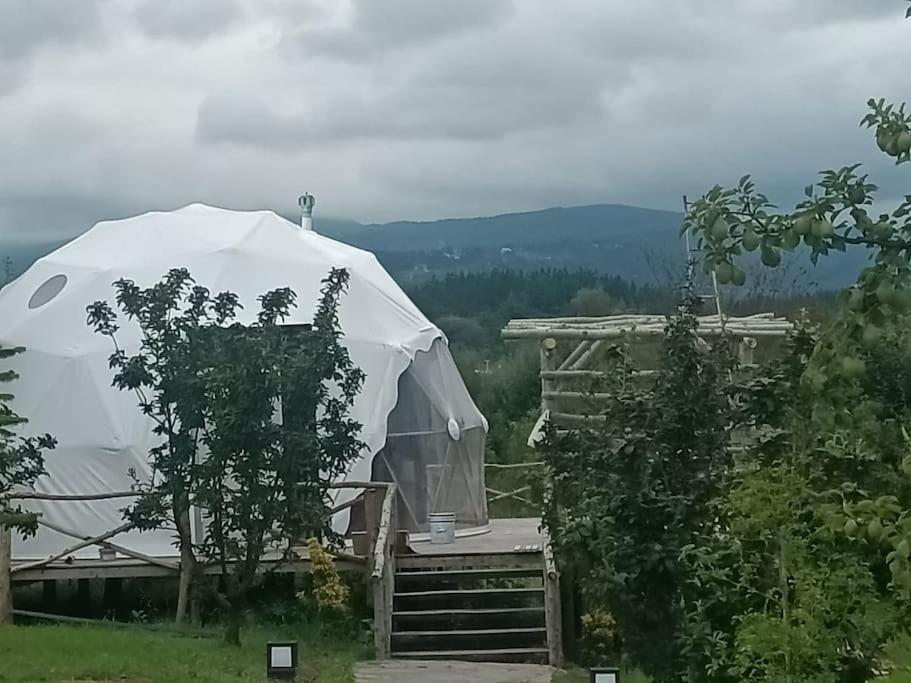 Sapanca Green Dome Dış mekan fotoğraf