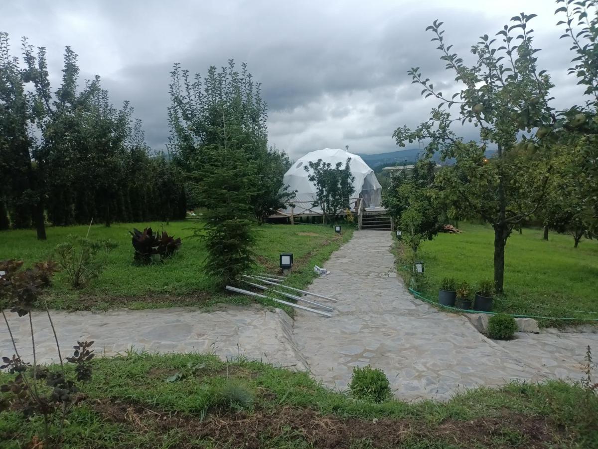 Sapanca Green Dome Otel Dış mekan fotoğraf